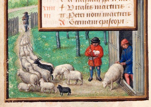 http://www.medievalists.net/wp-content/uploads/2014/02/medieval-sheep-e1393427965863.jpg