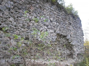 Photo by Eigene Aufnahme / Wikicommons