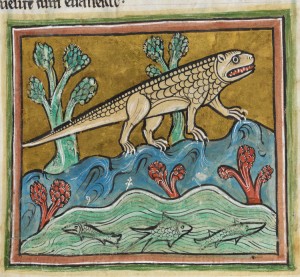 which medieval animal is this