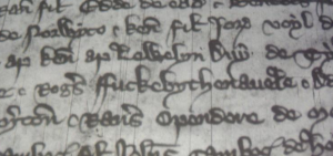 Cheshire County Court Rolls - TNA CHES 29/23 - photo by Paul Booth