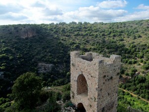 Ruins of Montfort Castle - Photo by Ariel Gera / Wikimedia Commons