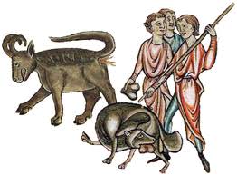 Medieval Animals