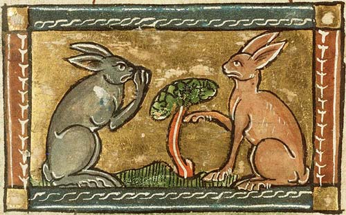 http://www.medievalists.net/wp-content/uploads/2012/06/medieval-rabbits.jpg