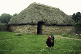 Medieval peasant house