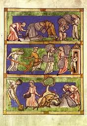 Medieval agriculture