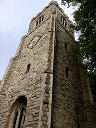 IMG_3555
