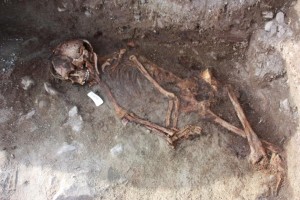 Skeleton Greenland