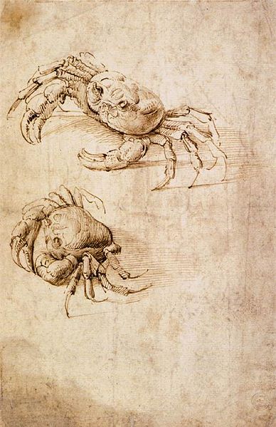 Crabs by Leonardo da Vinci