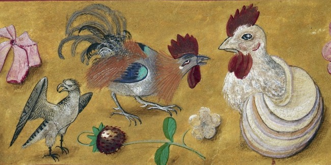 Chickens in the Middle Ages