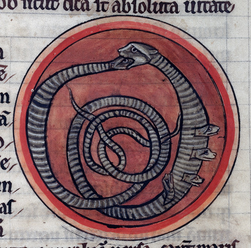 Ten Strange Medieval Ideas about Animals