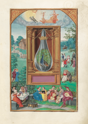 Splendor Solis page