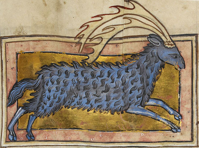 Parandrus - from British Library MS Royal MS 12 C XIX;