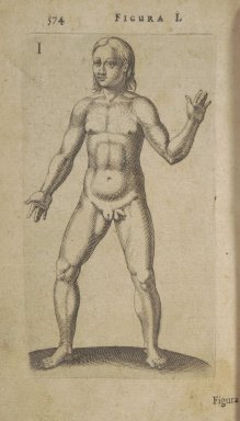 Medieval depiction of a hermaphrodite (courtesy of Cornell University Library). 