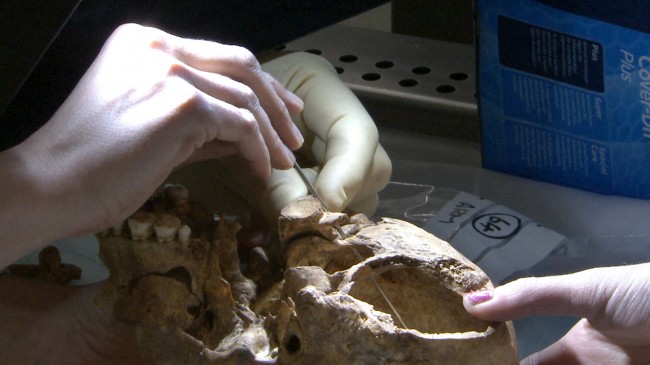 Richard III Potential Killer Blow - University of Leicester