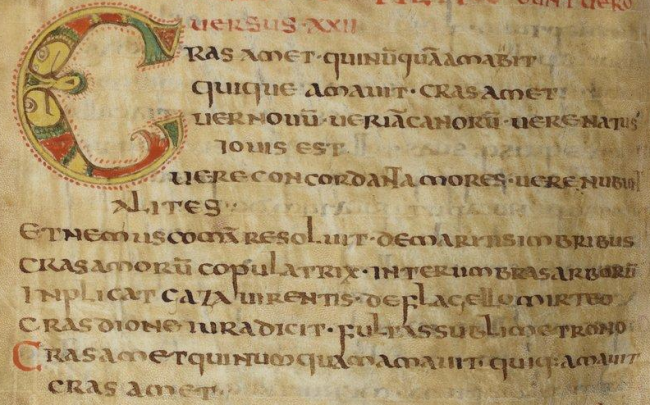 Symphosius Riddles