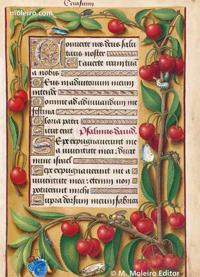 Anne of Brittany5
