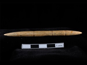 Anglo Saxon pin beater made of animal bone. Cheltenham, Gloucestershire, 400-800 AD. Courtesy of Cotswold Archaeology.
