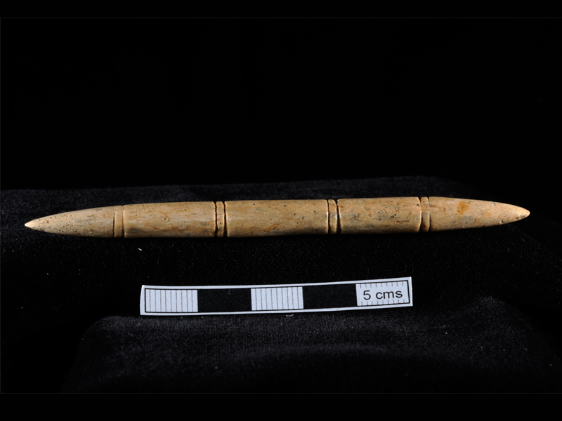 Anglo Saxon pin beater made of animal bone. Cheltenham, Gloucestershire, 400-800 AD. Courtesy of Cotswold Archaeology.