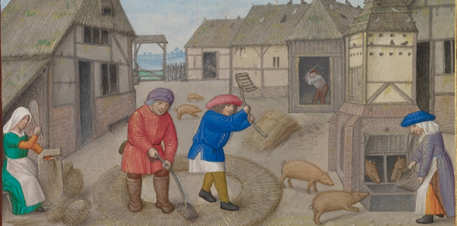 feeding pigs - Workshop of the Master of James IV of Scotland