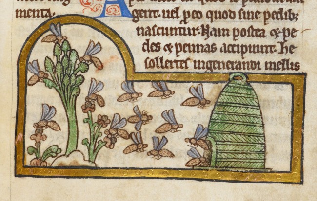 medieval bees - British Library Royal 12 C XIX f. 45 