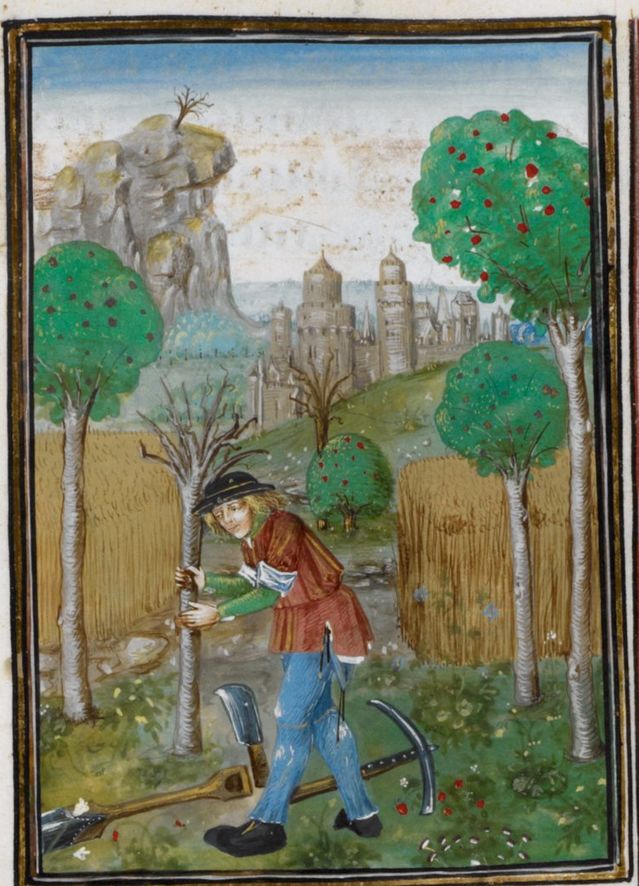 British Library Royal 15 E III f. 126