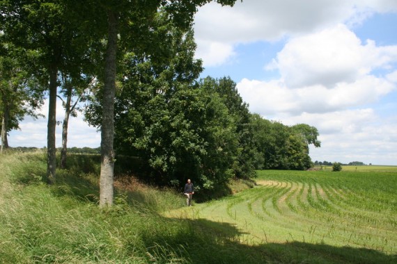 Michael Livingston at the proposed site of the Battle of Crecy