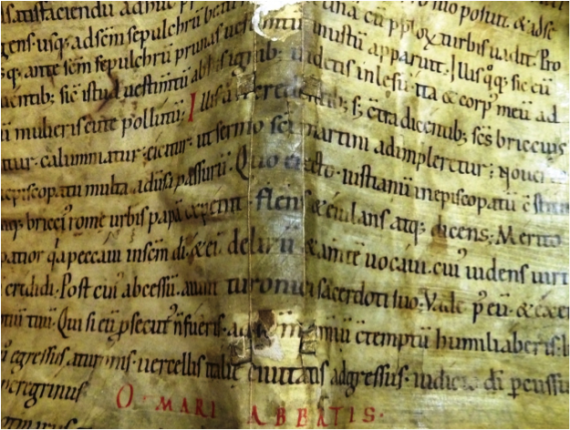 Passage from Gregory of Tours’s Historia Francorum - image from Provenance Online Project  / Flickr