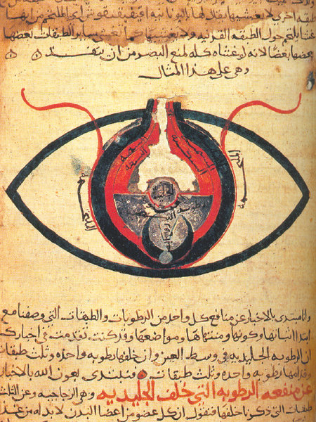 Anatomy of the Eye, from about the year 1200