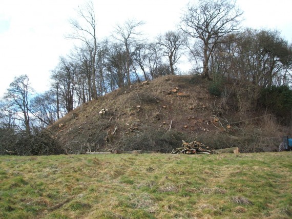 Motte and Bailey Castle