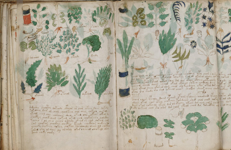 Secret Code, Lost Language, Nonsense, or Hoax: The Voynich Manuscript’s Enduring Mysteries