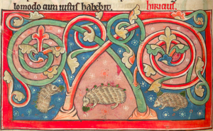 Image from a manuscript depicting hedgehogs, collecting fruit on their quills; from a bestiary, England (Salisbury?), 2nd quarter of the 13th century, Harley MS 4751, f. 31v. (British Library).