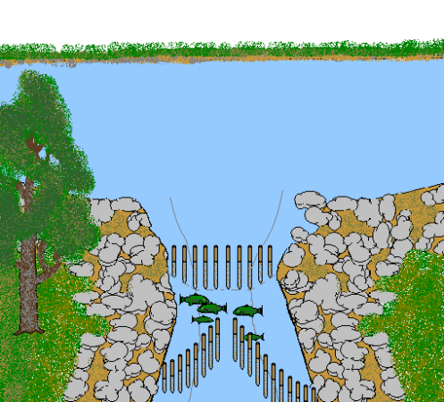 Fish Trap Army Example Fish_Trap_BKG - Medievalists.net