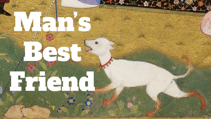 Man’s Best Friend: Love for Dogs in the 10th century