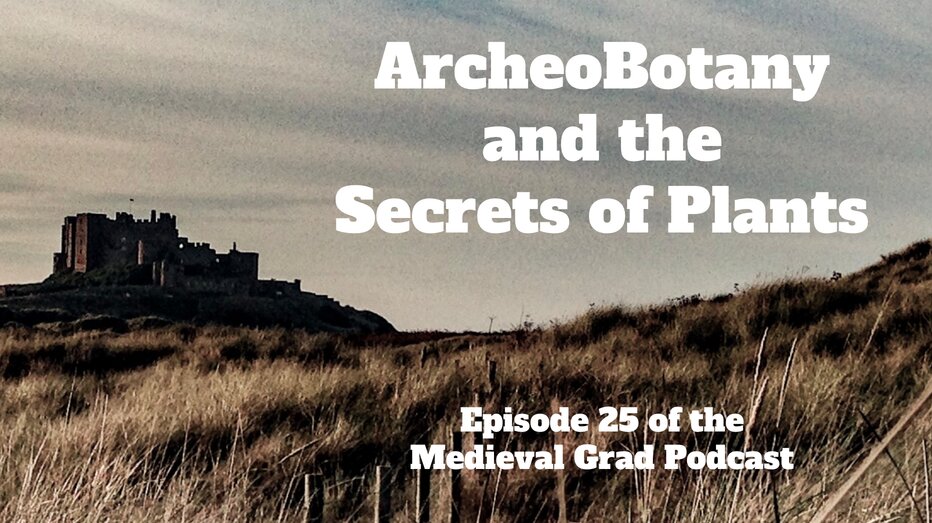 ArcheoBotany and the Secrets of Plants