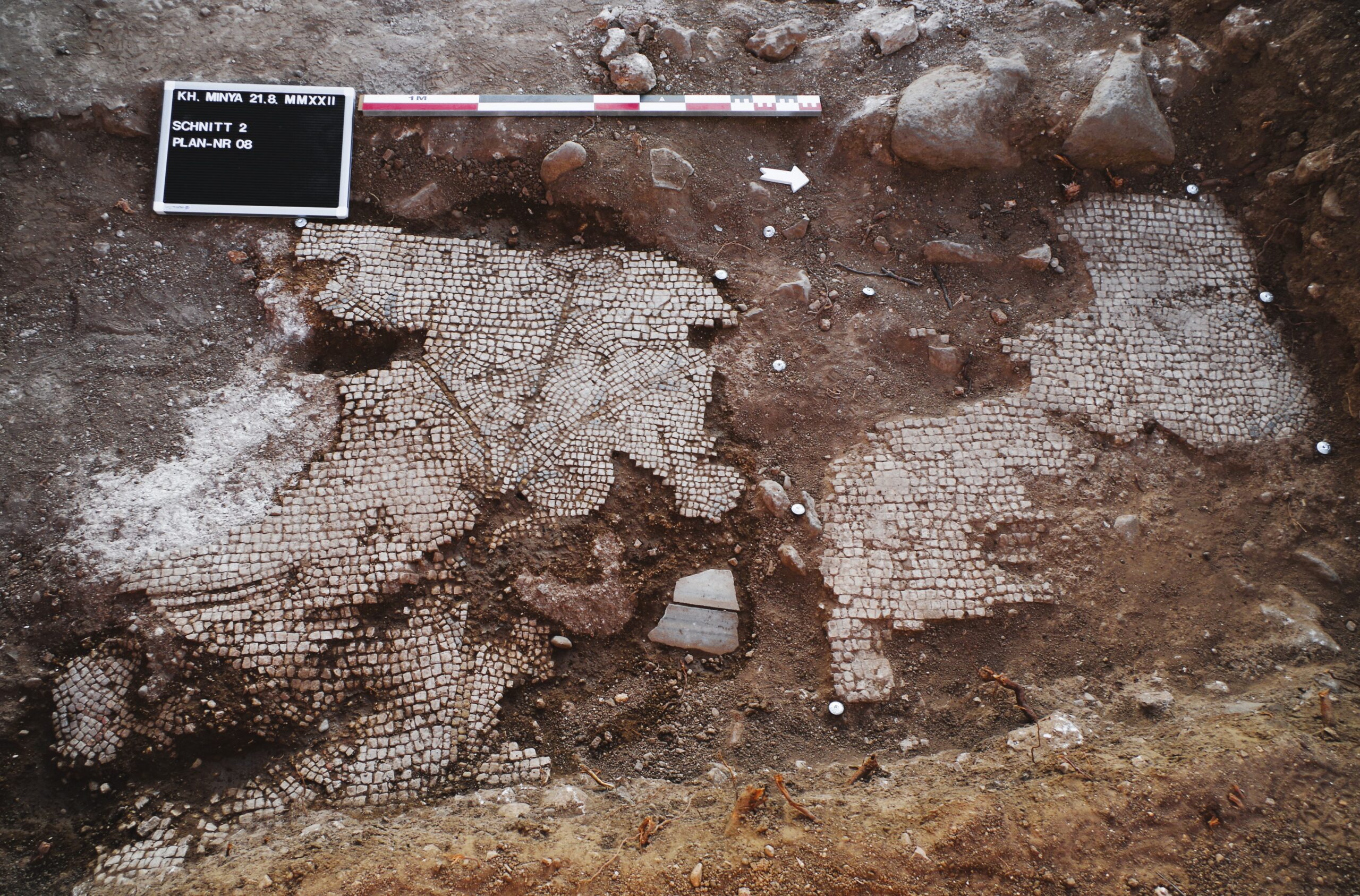 Early medieval mosaics discovered in Israel