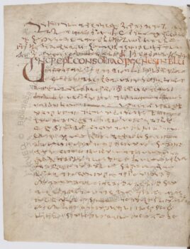 Much of the writing is in Tironian Notes - Vatican Library, MS Reg. lat. 846, fol. 103v