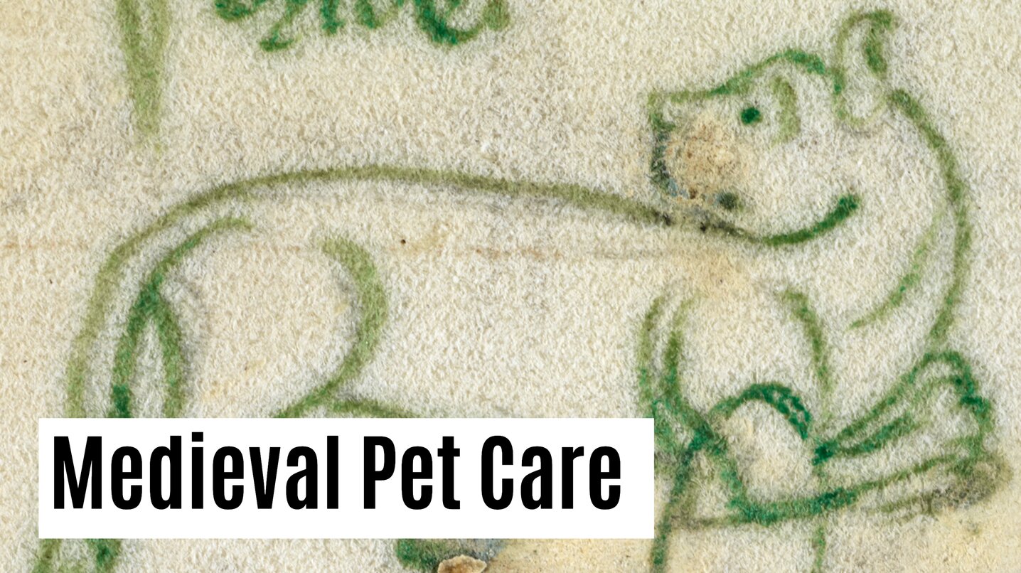 Medieval Pet Care