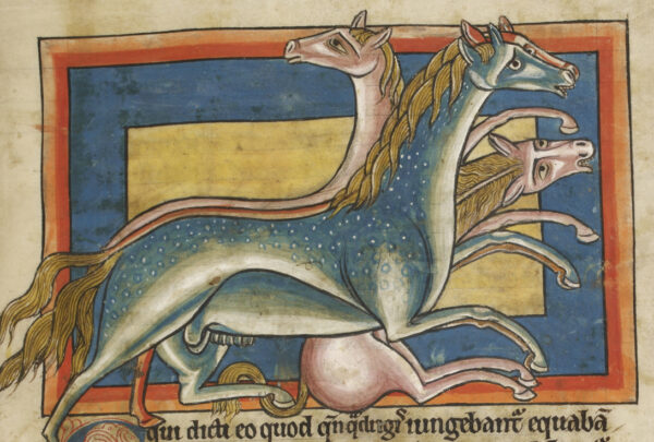 Medieval horse cemetery reveals international equine trade