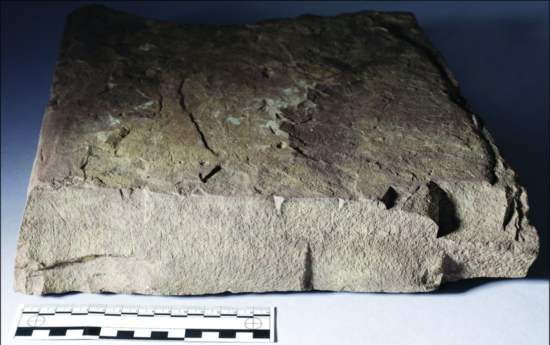 Norway Rune History Rocks Earliest Known Rune-Stone Discovered in Norway - Medievalists.net