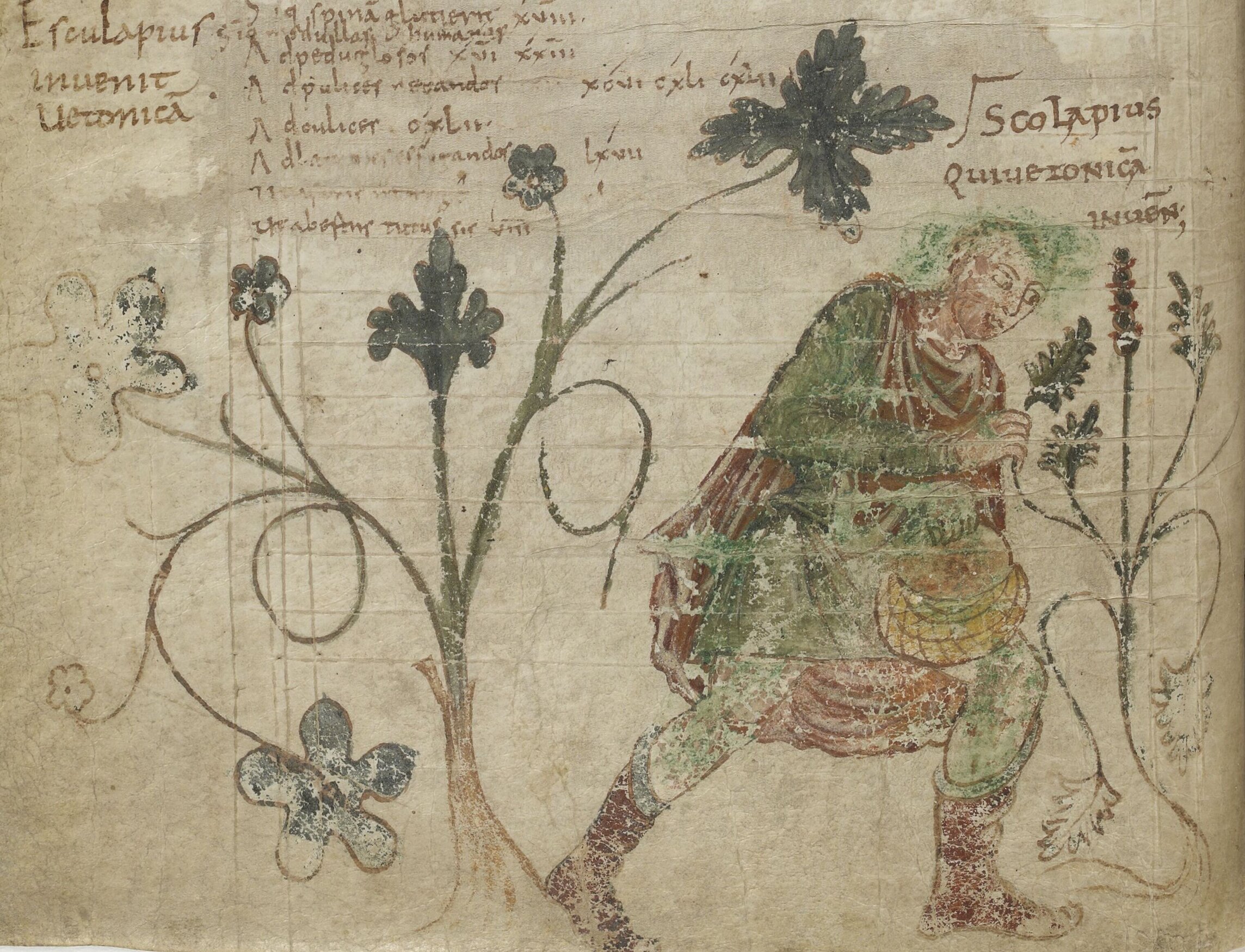 Medieval Farmers Created a Biodiversity Boom, Study Finds