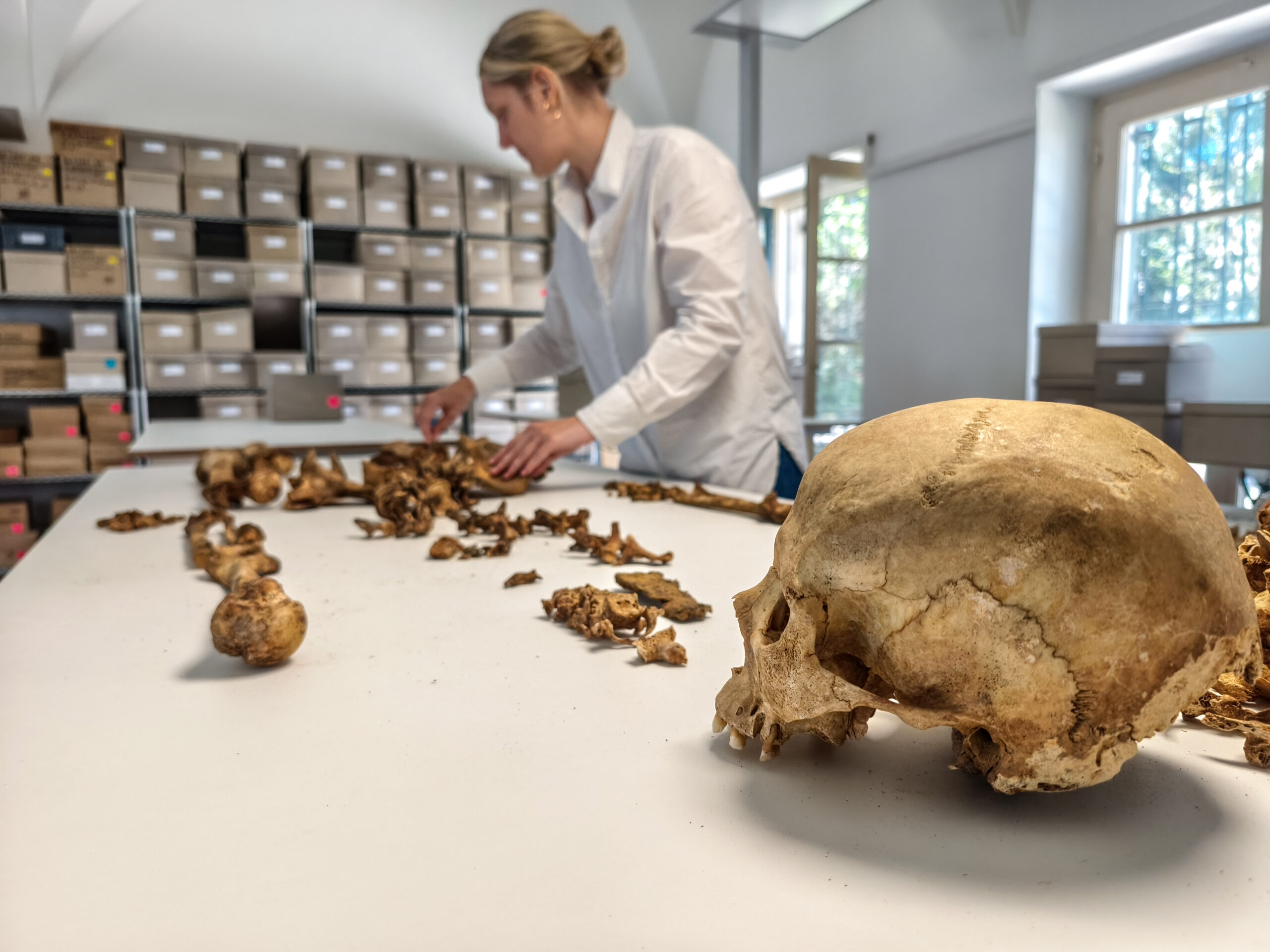 The Birth of Medieval Europe Revealed by Ancient DNA - Medievalists.net