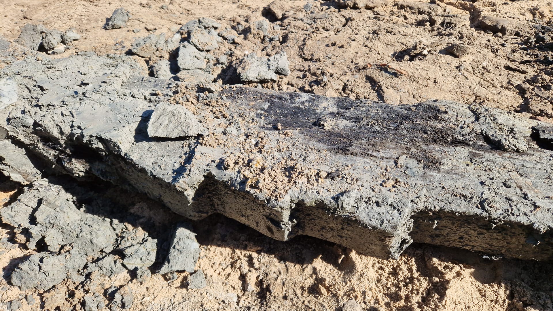Remains of Medieval Ship Discovered in the Netherlands - Medievalists.net
