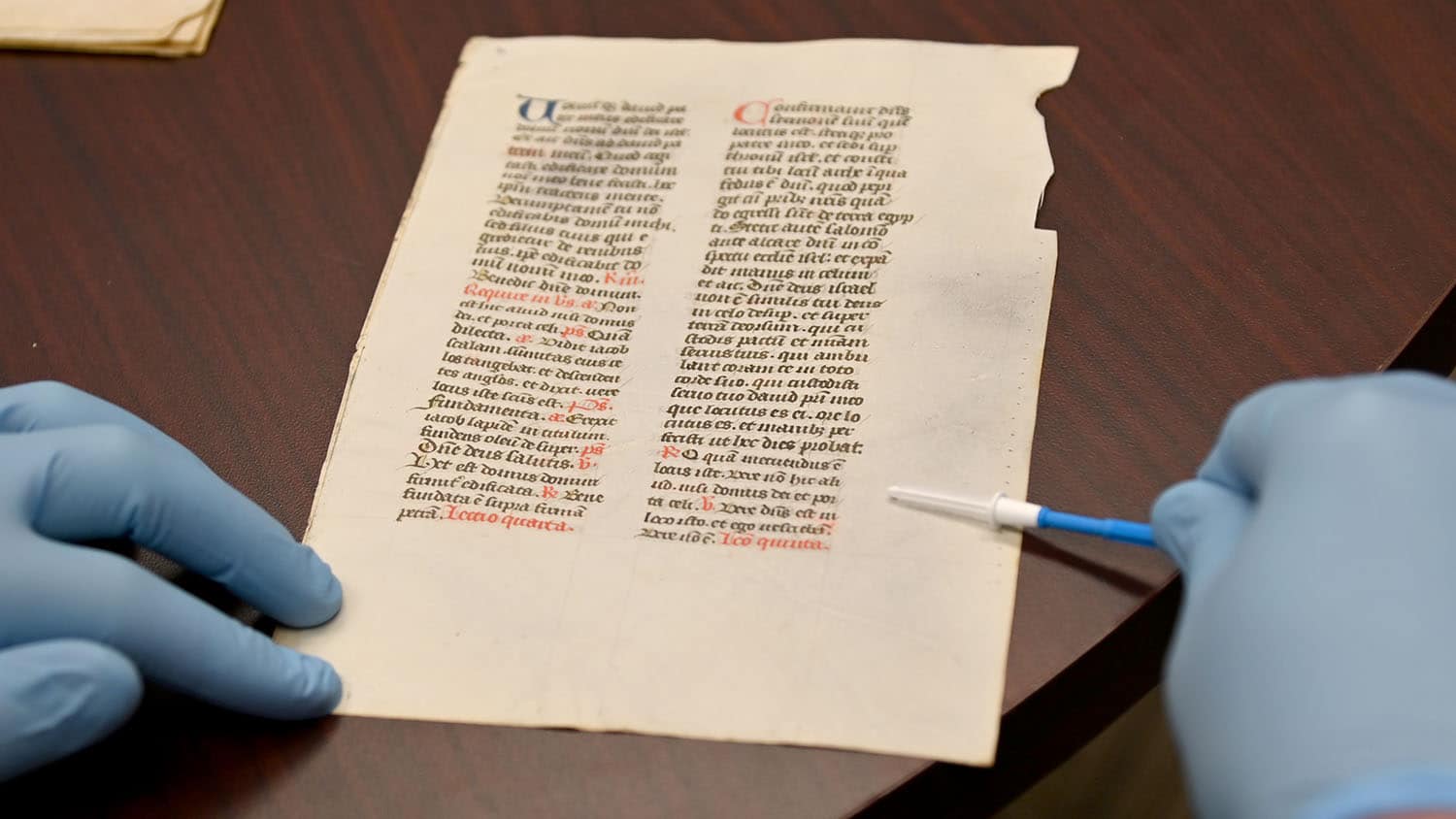 Medieval Manuscripts Reveal Hidden Animal DNA Archive - Medievalists.net